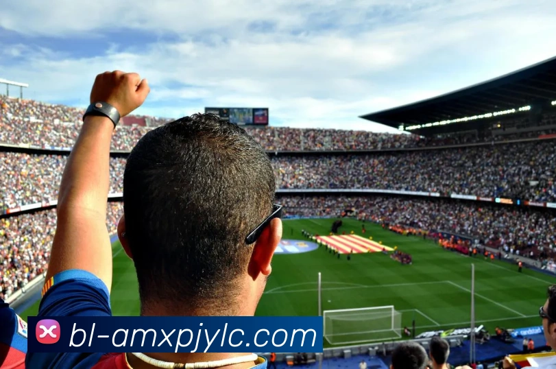 新葡京娱乐平台生态图