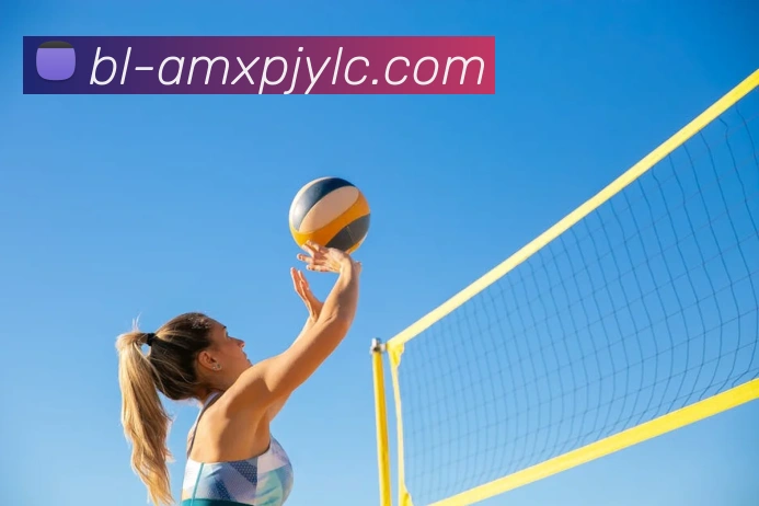 新葡京娱乐APP 封面图